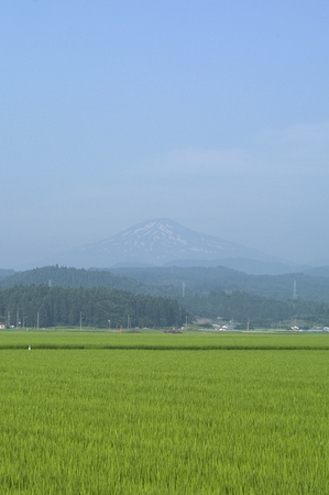 鳥海山写真　2012.08.01.jpg